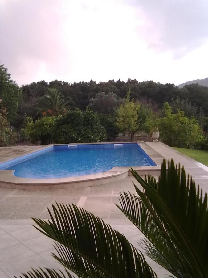 Villa Milagro - 3 Bedroom Finca Style Villa With Pool Near Golf Course/Beaches - Air Cond. Pollença Eksteriør bilde